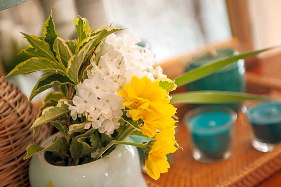 Chai du Chateau de Morteuil