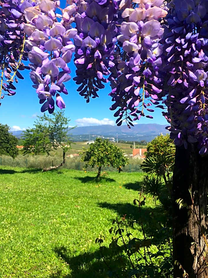 The Hideaway at Quinta de Moçamedes - Suites & Apartments