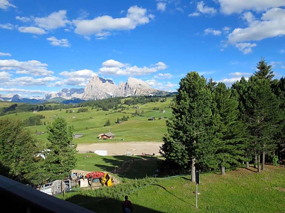 Camera Alpe di Siusi