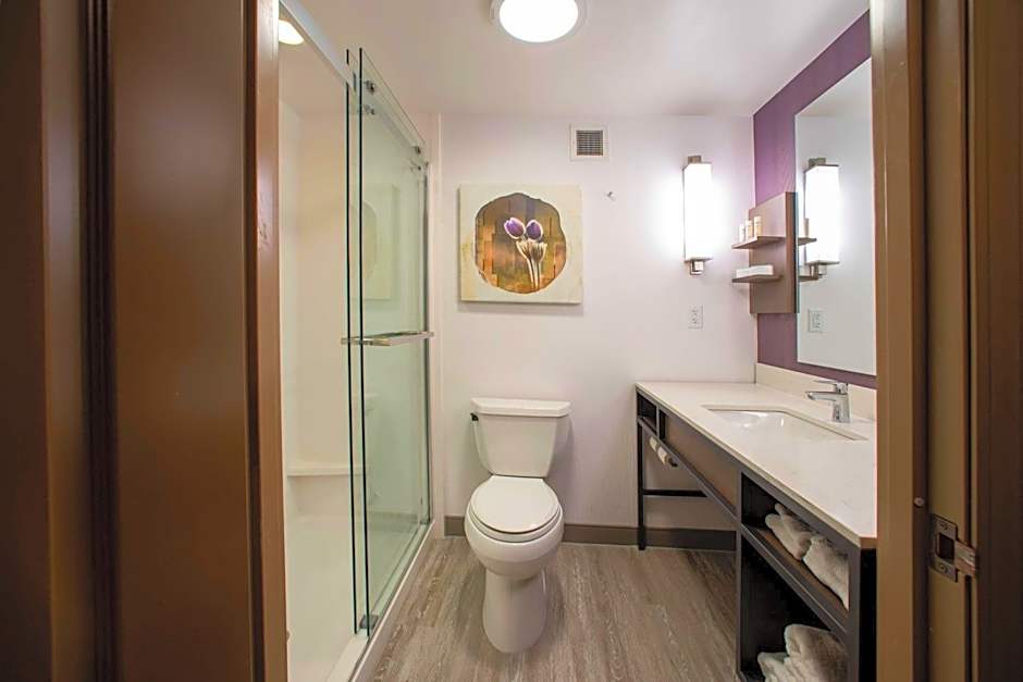 Hilton Garden Inn Rapid City