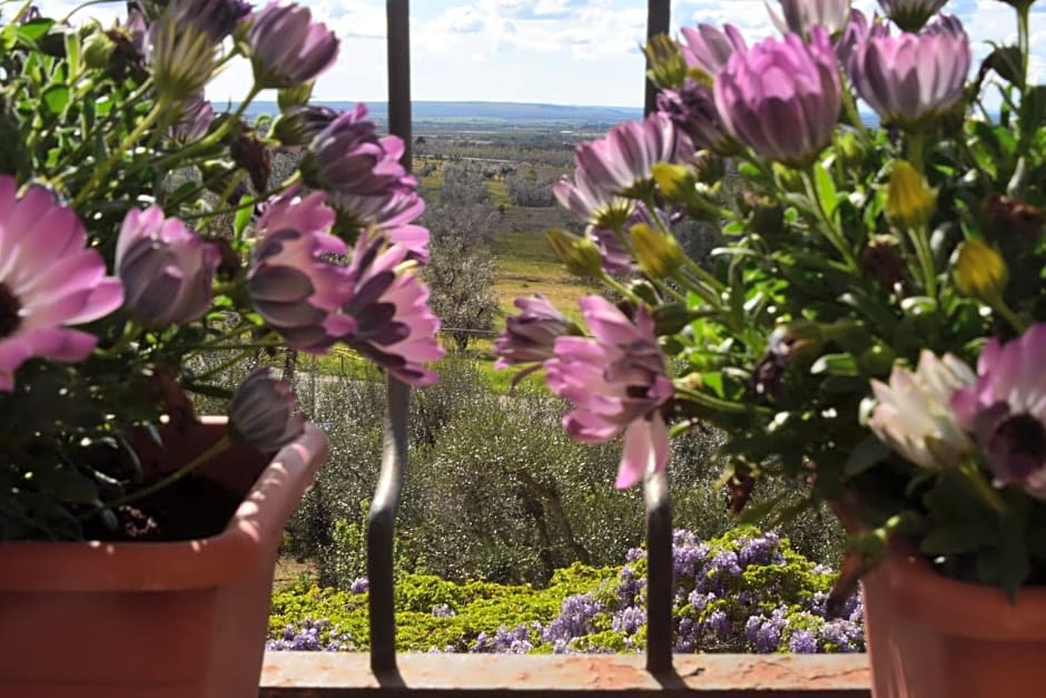 Terme e relax nella campagna viterbese