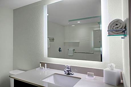 Studio, 1 King Bed with Sofa bed (Hearing Accessible) (1 King Bed and 1 Double Sofa Bed)