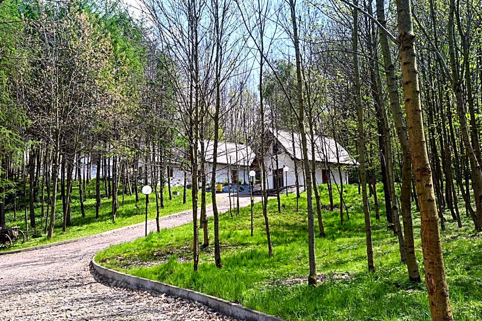Domki Łowisko Wieniec