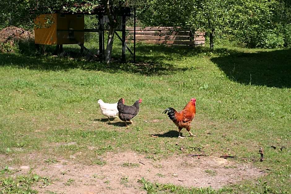 Nature Retreat "Upes Dižvietas"