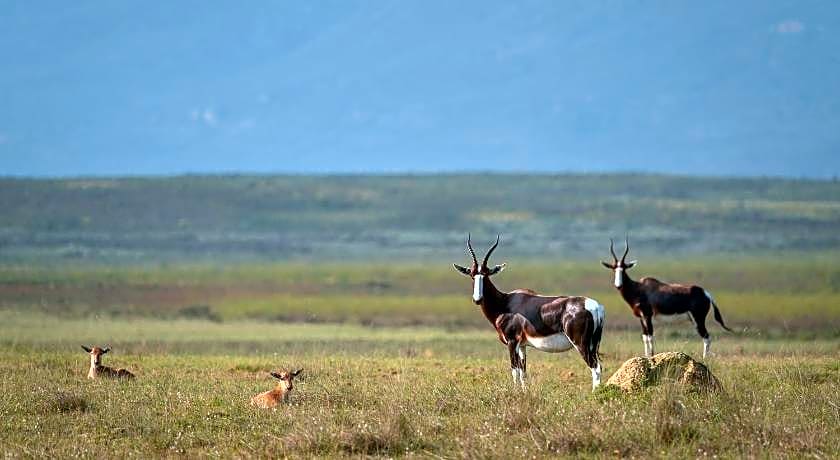 Bartholomeus Klip Farmhouse