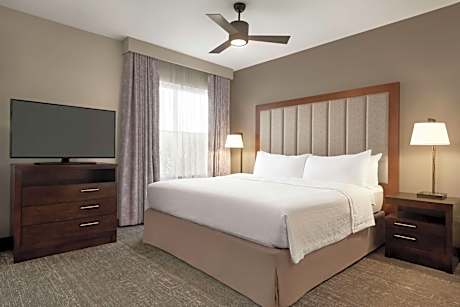 1 King Bed Studio Suite