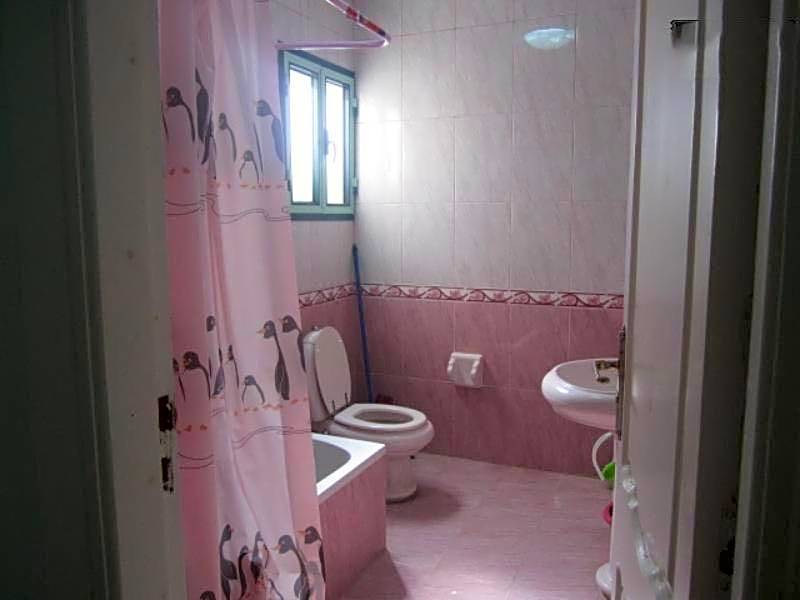 alexandria agamy betash