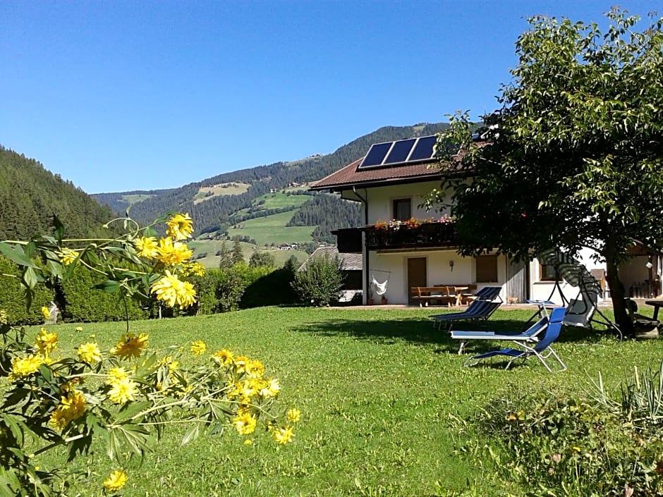 Ferienhaus-Grünfelder