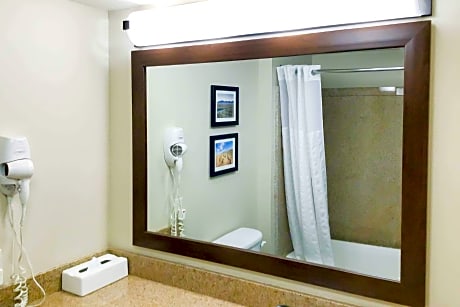 1 King Bed, Suite, Nonsmoking