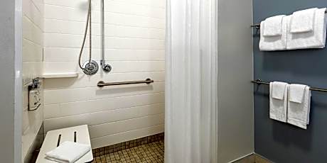 Suite with Accessible Transfer Shower - Non-Smoking