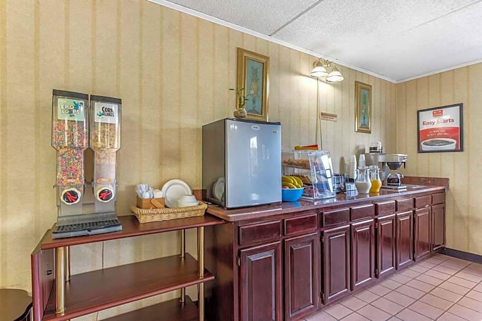 Econo Lodge Inn & Suites Lugoff