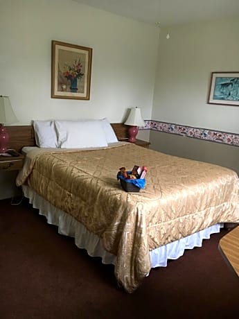 standard single room, 1 queen bed