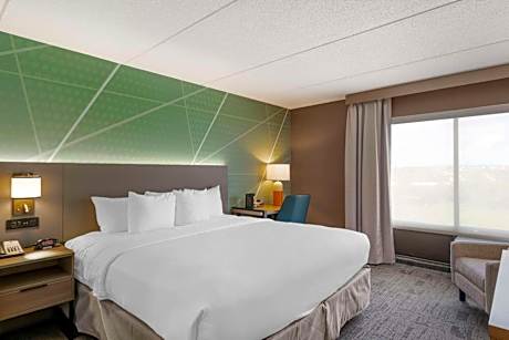 King Room - Disability Access/Non-Smoking