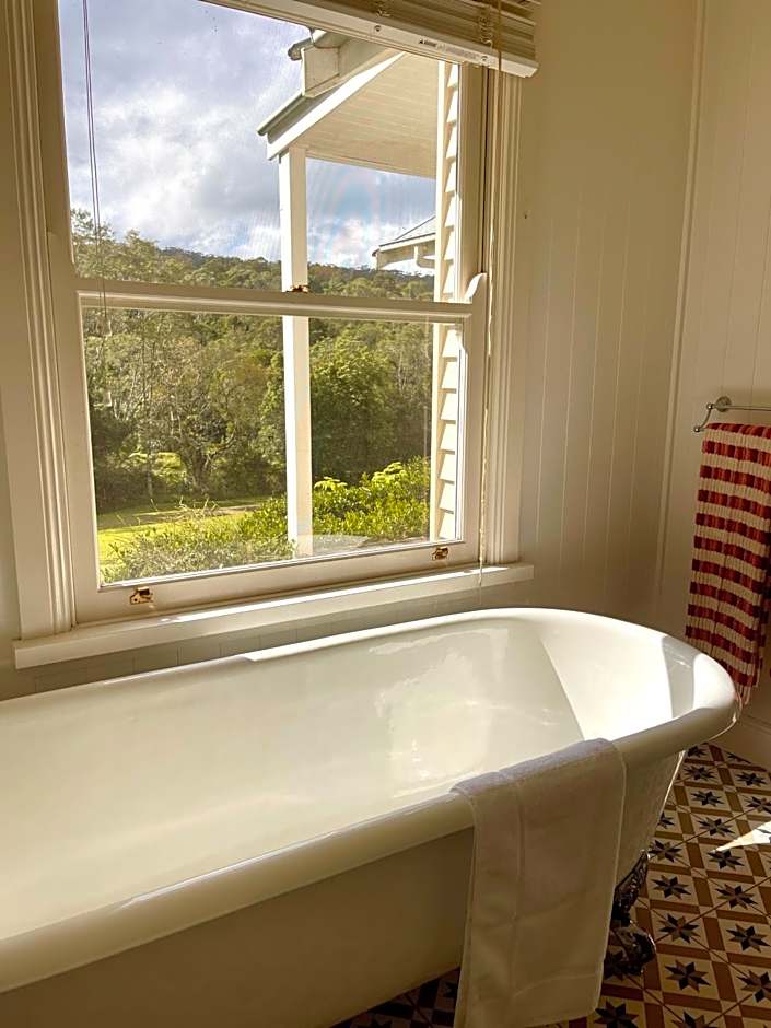 Nightcap Ridge - Byron Bay Hinterland