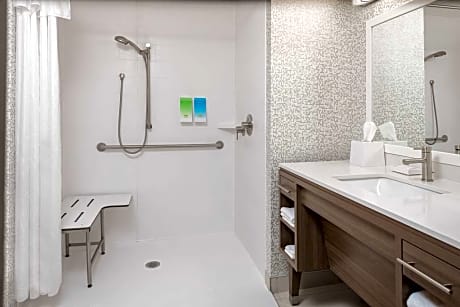 2Queen Accessible Roll In Shower Studio Nosmk