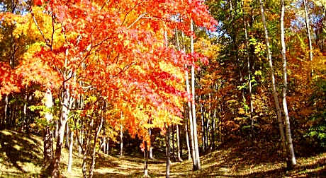 Hakodate Onuma Prince Hotel