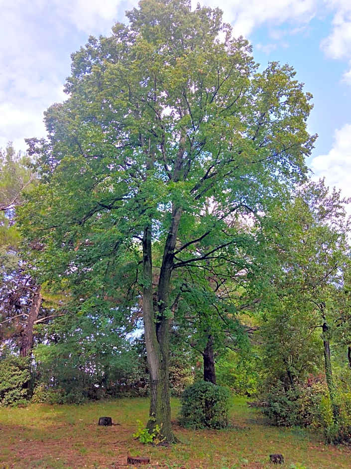 Boarding House Lucija