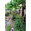 Uji Tea Inn - Vacation STAY 27198v