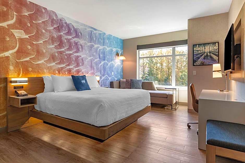 Cambria Hotel Manchester South Windsor