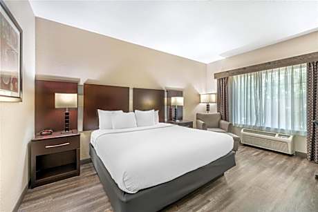 1 King Bed, Mobility Accessible, Communication Assistance, Roll In Shower, Non-Smoking, Full Breakfa