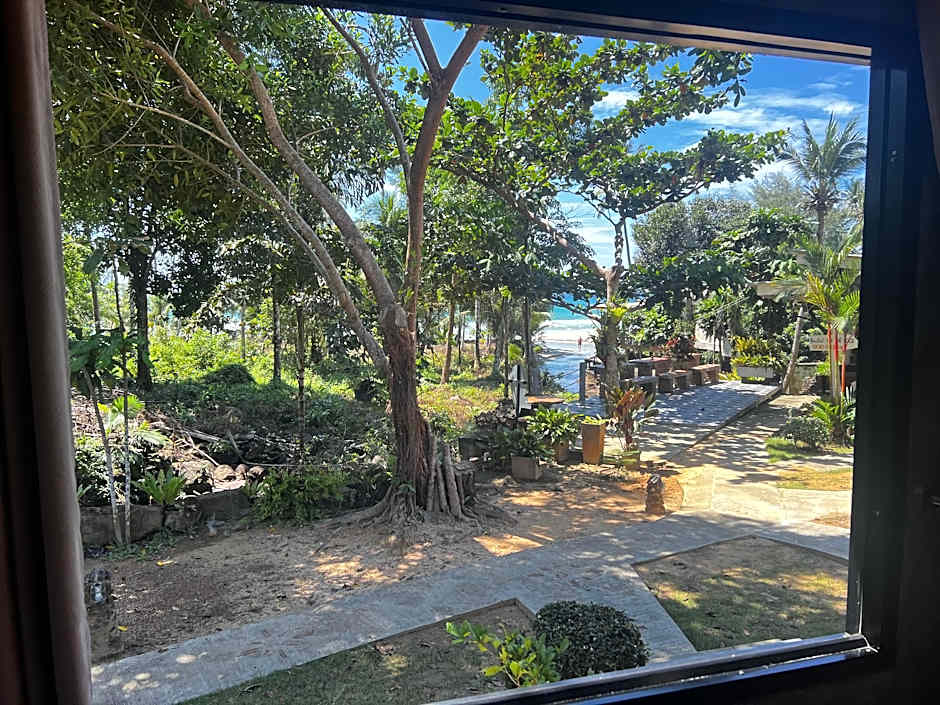 Sunshine on the rock