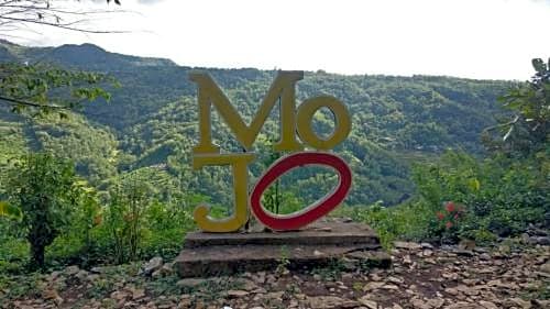 Mojo Resort and Camp Homes