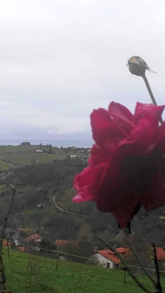 Posada torre del milano