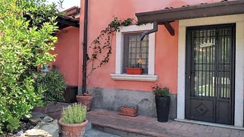 B&B Dama