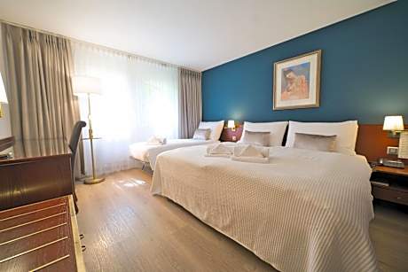 Superior Room with King Bed