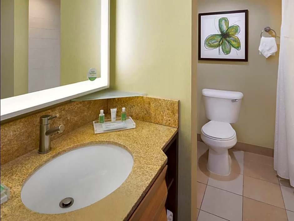 Holiday Inn San Jose - Silicon Valley By IHG