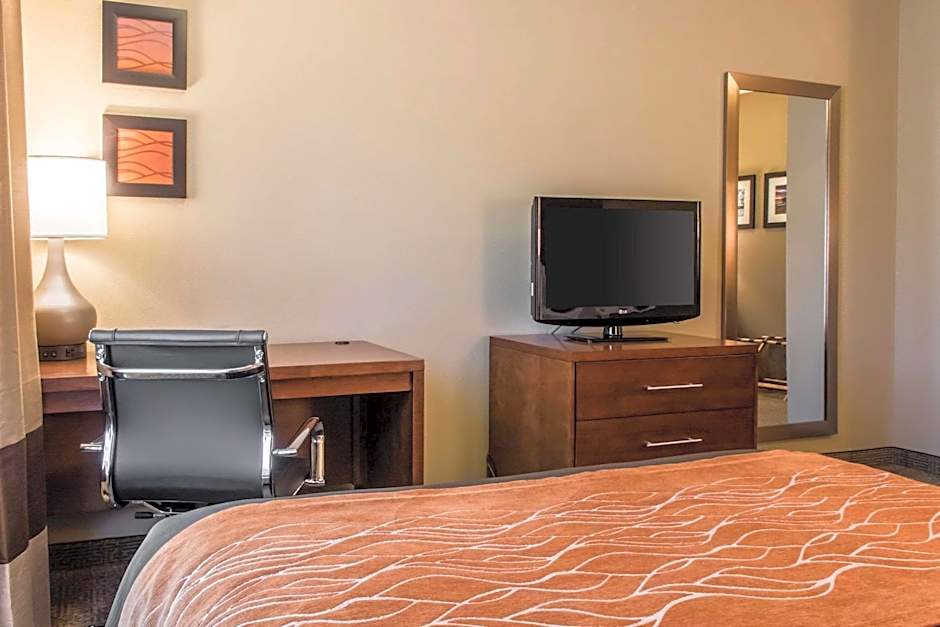 Comfort Inn Lancaster County 