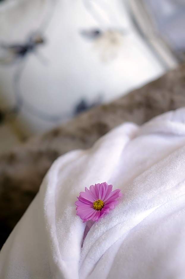 Granny Mouse Country House & Spa