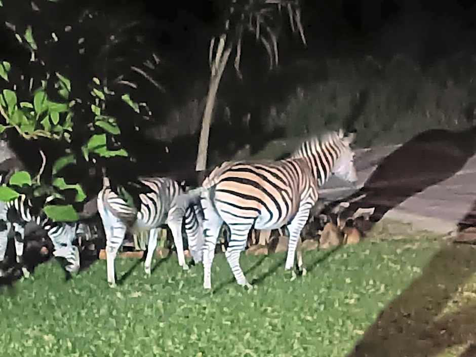 Khululeka Safaris Lodge