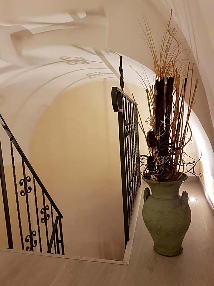 La nassa fitta camere