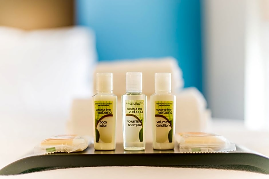 Holiday Inn Hotel & Suites Chattanooga Downtown By IHG