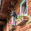 Pension Wassererhof