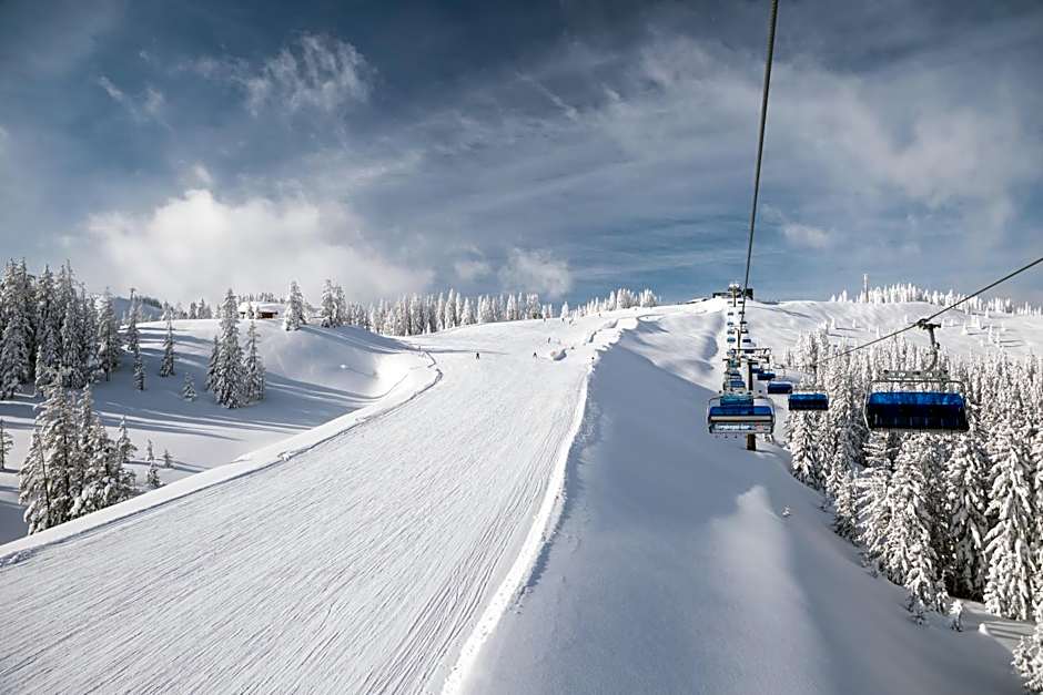 AlpenParks Chalet & Apartment Steve Lodge Viehhofen