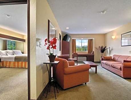Deluxe Queen Suite - Non-Smoking