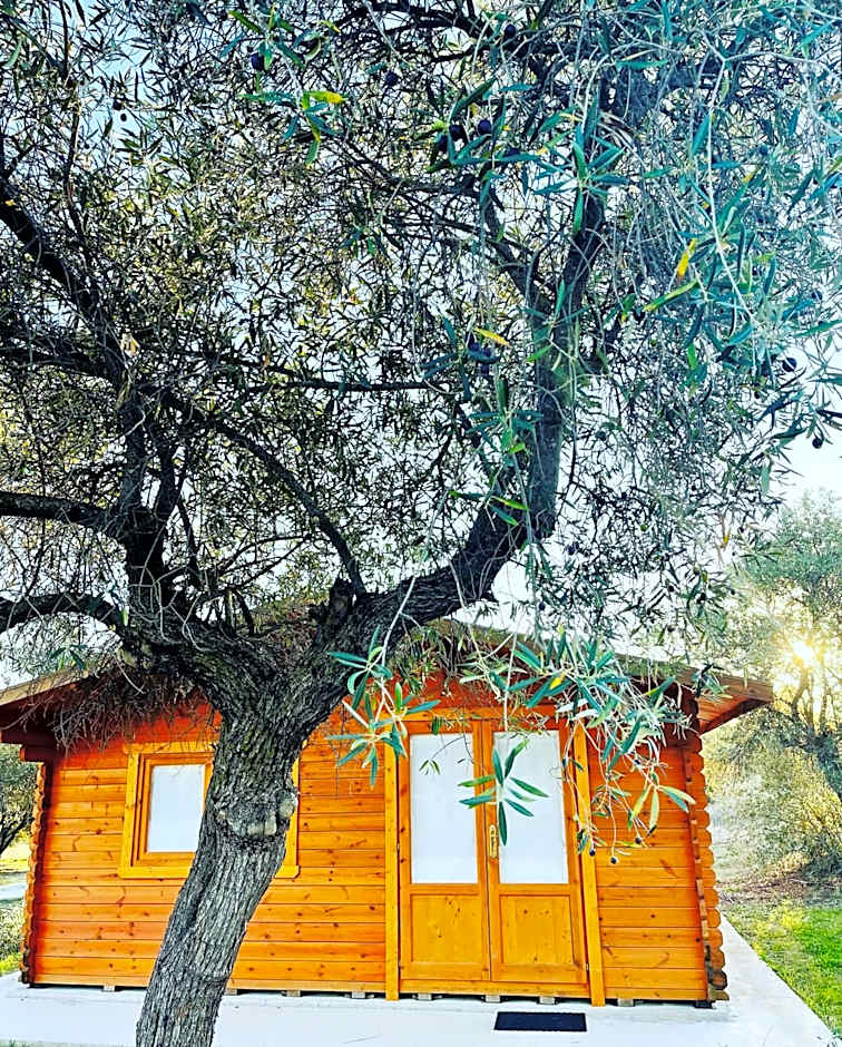 Photo 1 of 50 of El Bosque de Ribera