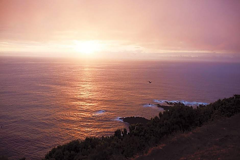 SALT LIPS - Azores Surf Experience