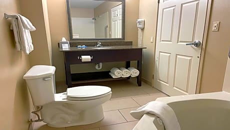 King Suite with Sofa Bed