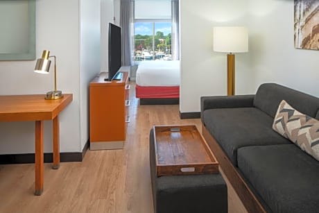 Studio,1 King, Sofa bed