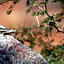Kilima Private Game Reserve & Spa