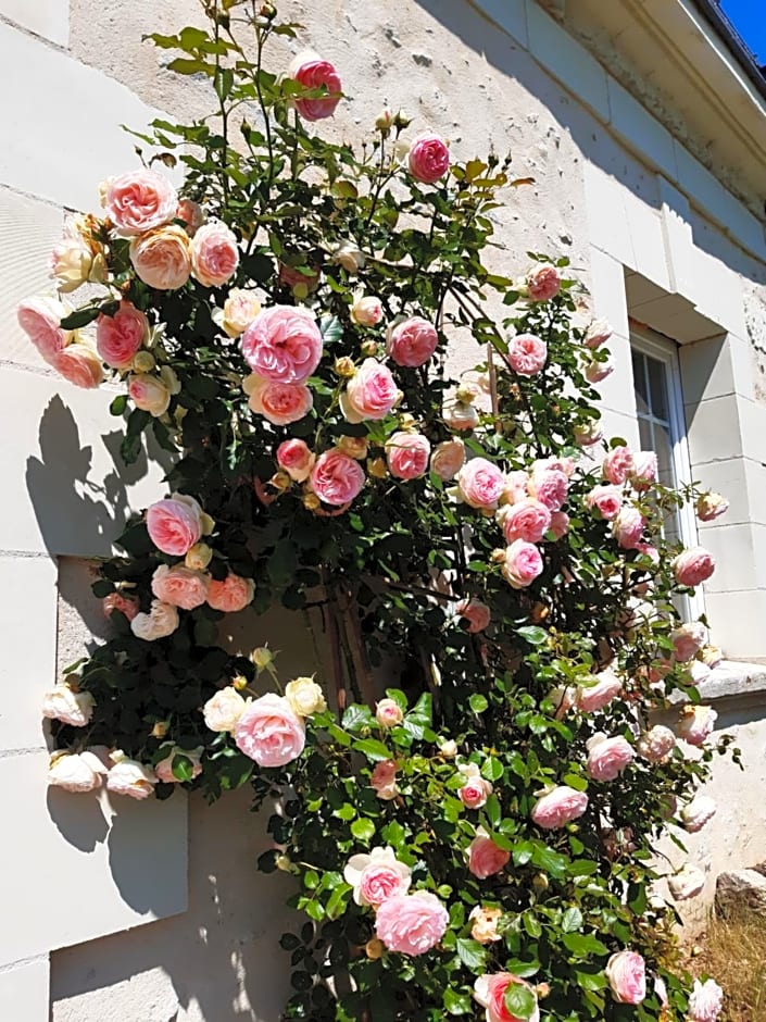 Le clos des augers, chambres d'hôtes et roulotte