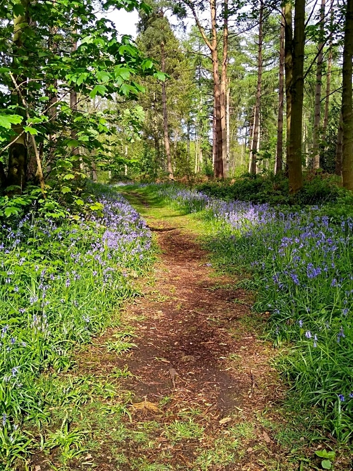 Hollicarrs - Long Lane Lodge