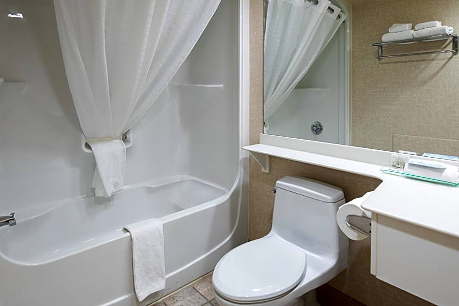 Royal Hotel West Edmonton, Trademark Collection by Wyndham