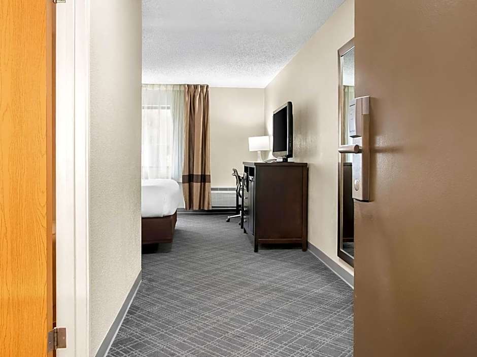 Comfort Inn Detroit Downtown