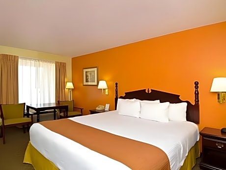 King Room - Non-Smoking