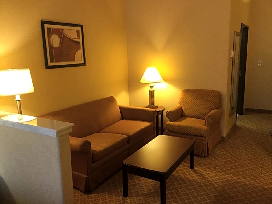 Holiday Inn Express and Suites Longview South I20