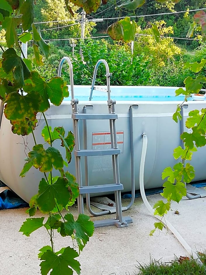 Alla Contrada degli Asinelli